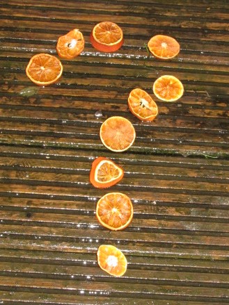 God 4.0 - Why bother with God. Sliced oranges shaped in question mark.